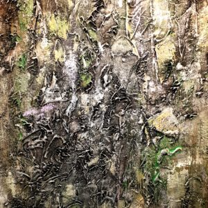 Bark